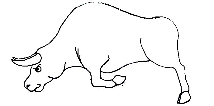 Bull-Drawing-4