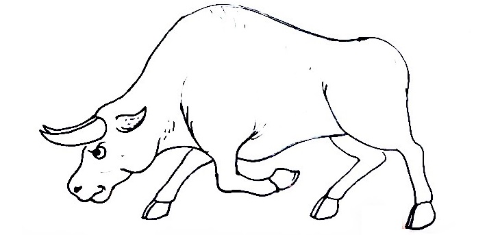 Bull-Drawing-6