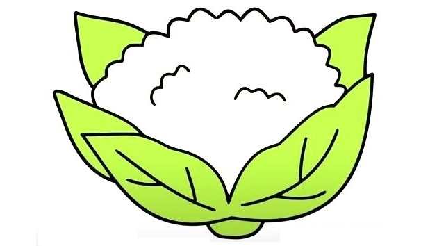 Cauliflower-Drawing-6