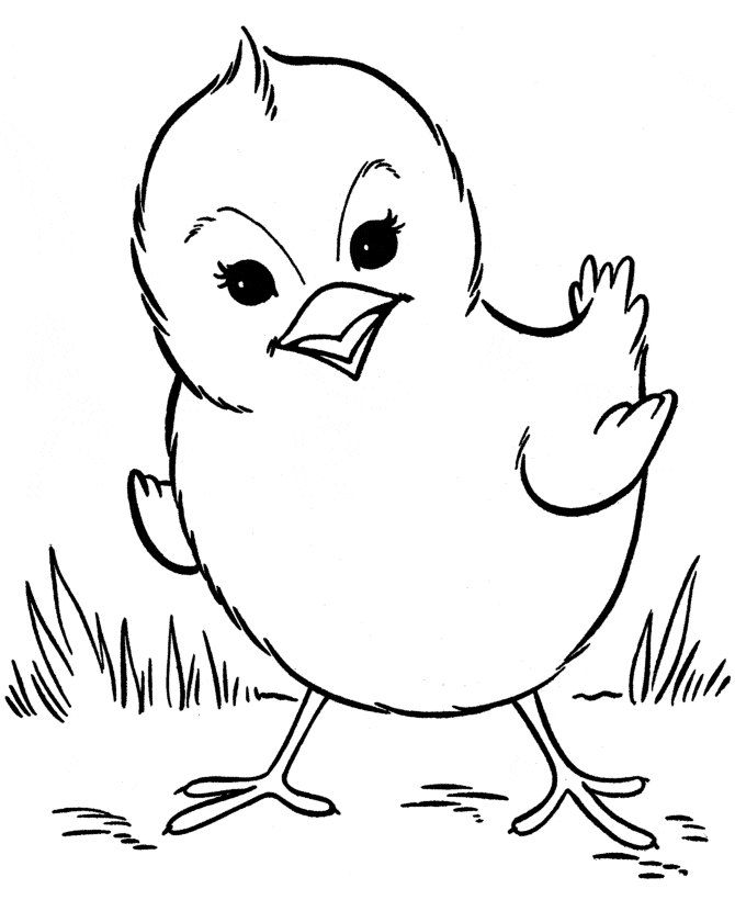 Chick Printable For Kids Coloring Page