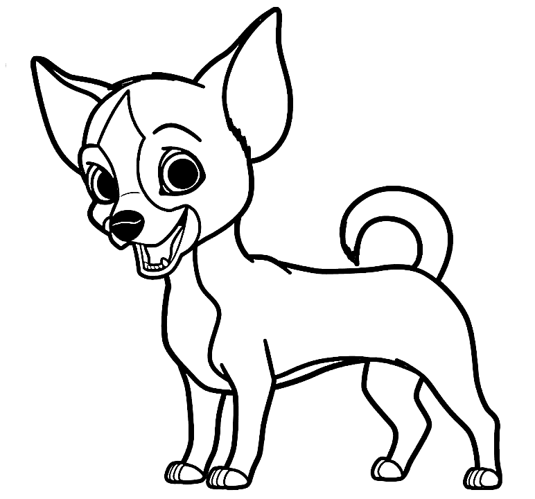 Chihuahua Coloring Pages