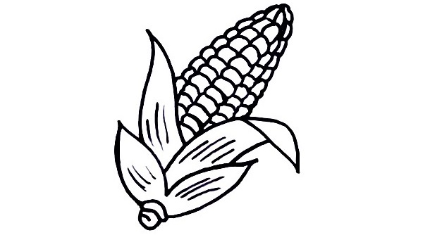 Corn-Drawing-5