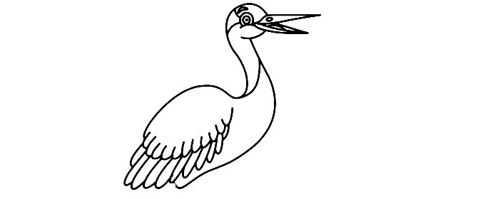 Crane-Bird-Drawing-6