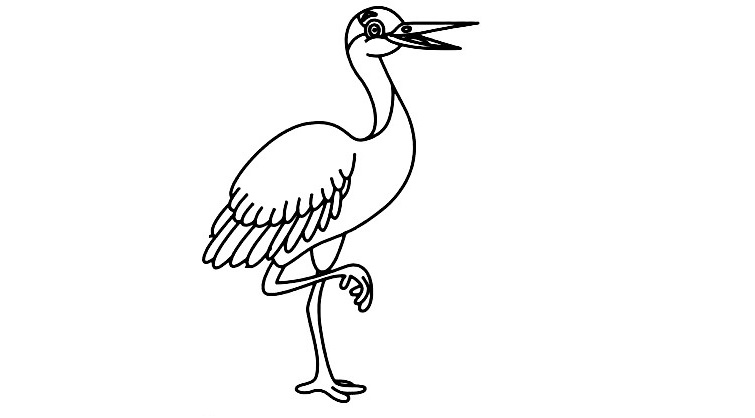 Crane-Bird-Drawing-7