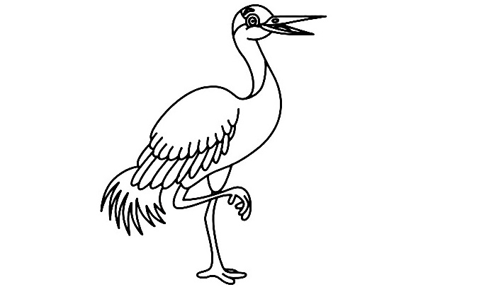 Crane-Bird-Drawing-8