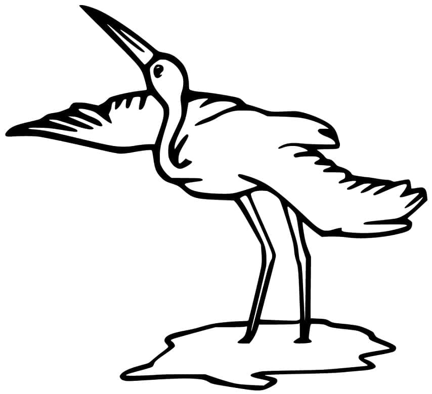 Crane Bird Coloring Pages