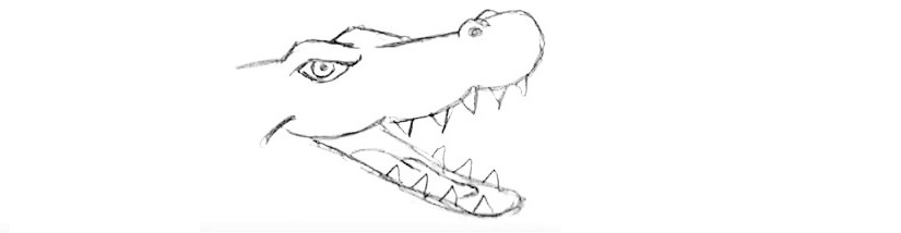 Crocodile-Drawing-5