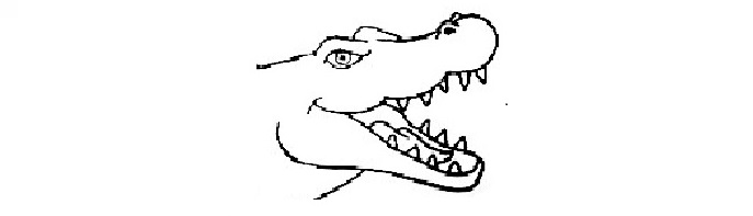Crocodile-Drawing-6