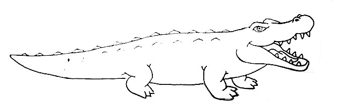 Crocodile-Drawing-8