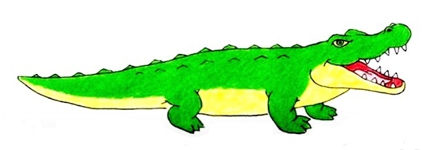 Crocodile-Drawing-9