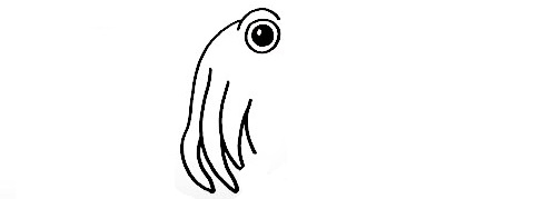 Cuttlefish-Drawing-5