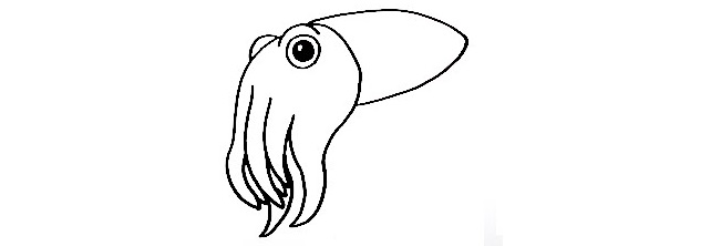 Cuttlefish-Drawing-7