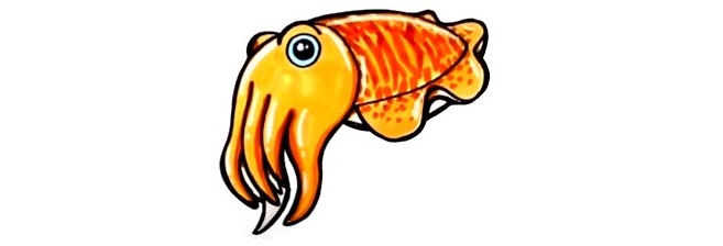 Cuttlefish-Drawing-9