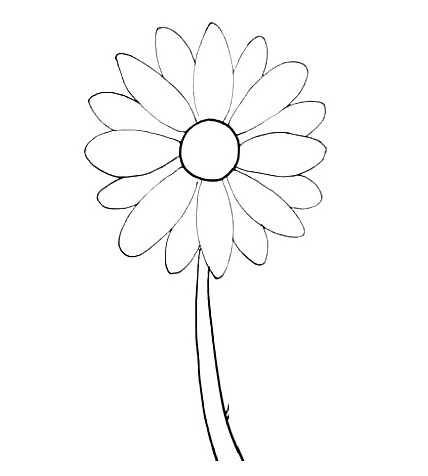 Daisy-Drawing-7
