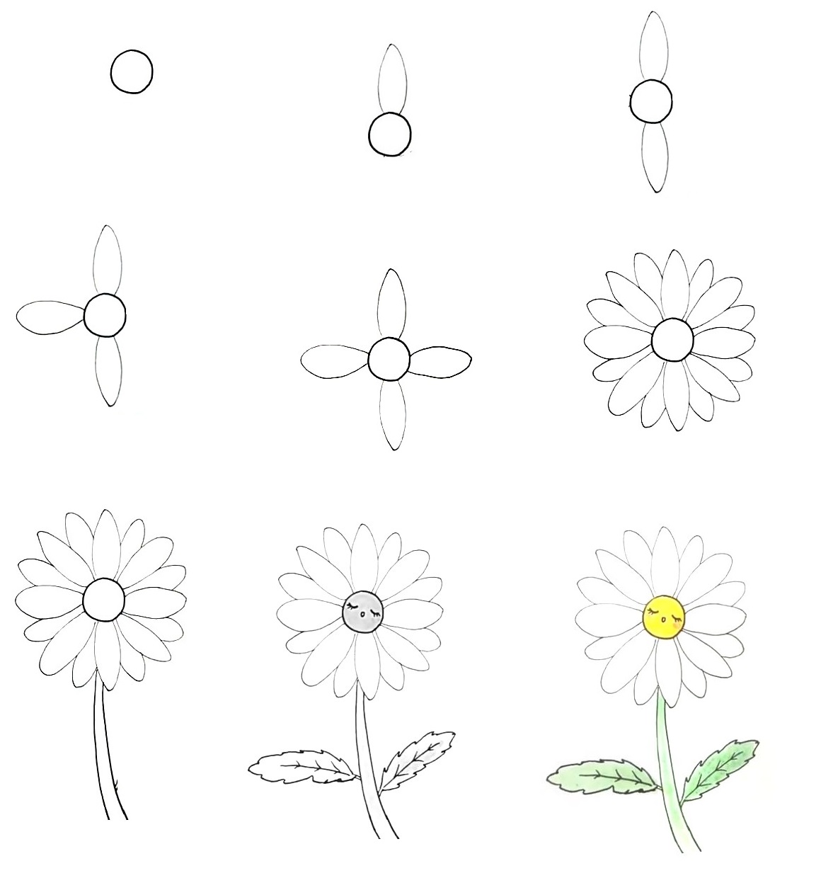 Daisy-Drawing
