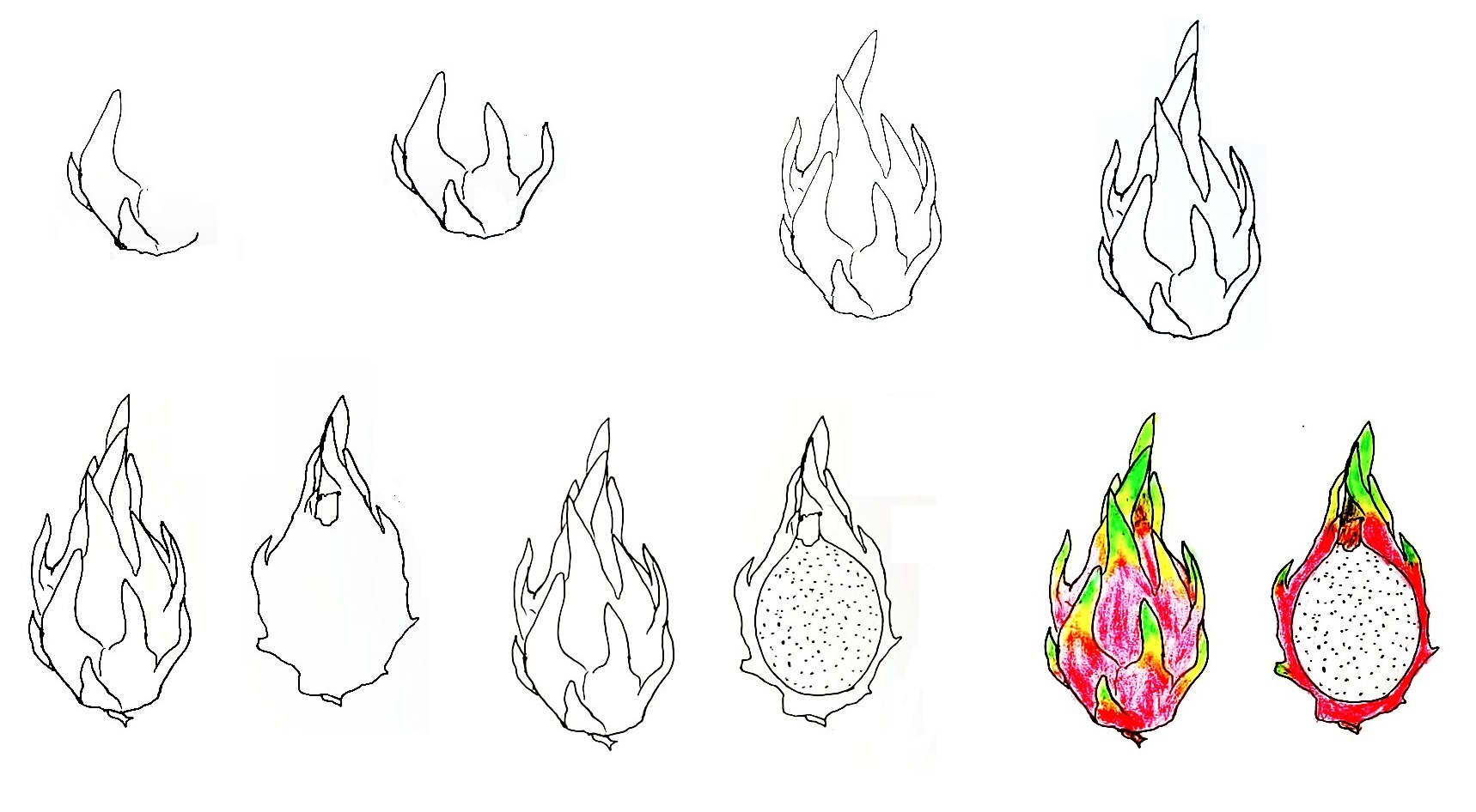 Dragon-Fruit-Drawing