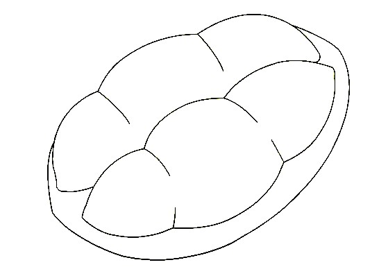 Durian-Drawing-4