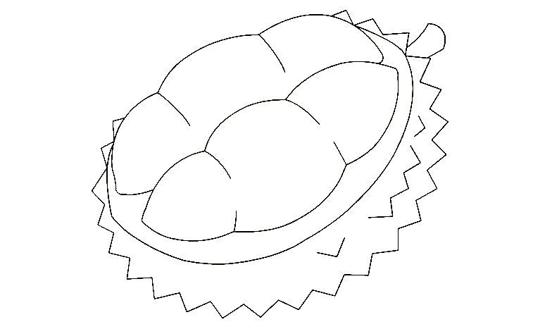 Durian-Drawing-6