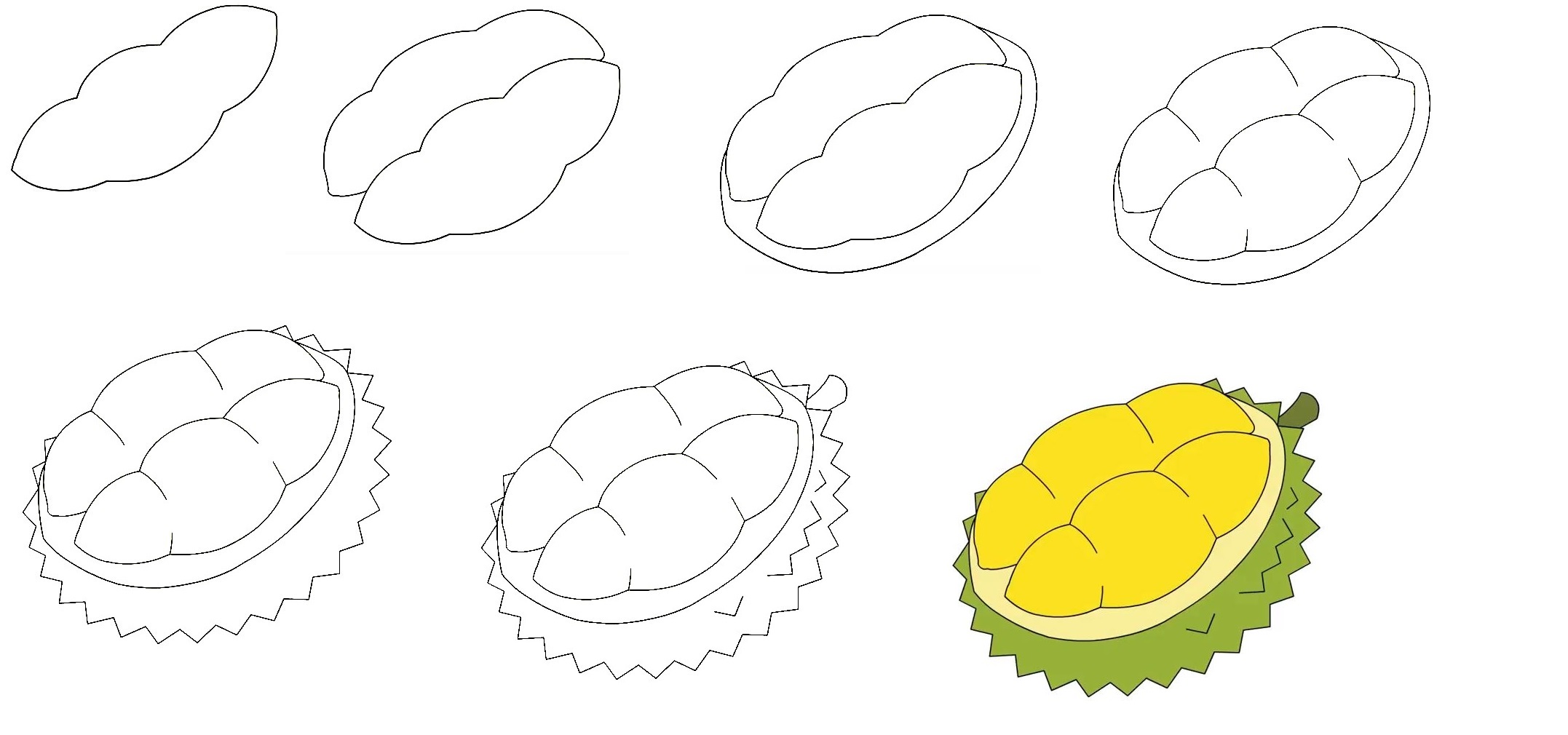 Durian-Drawing