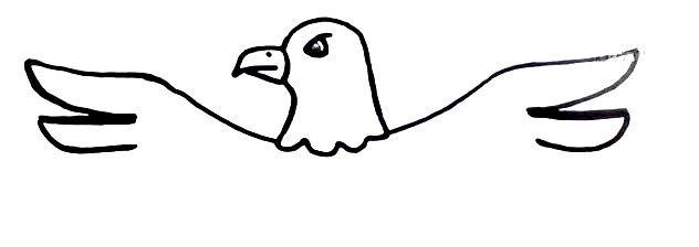 Eagle-Drawing-5