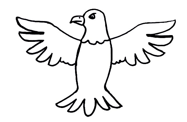 Eagle-Drawing-7