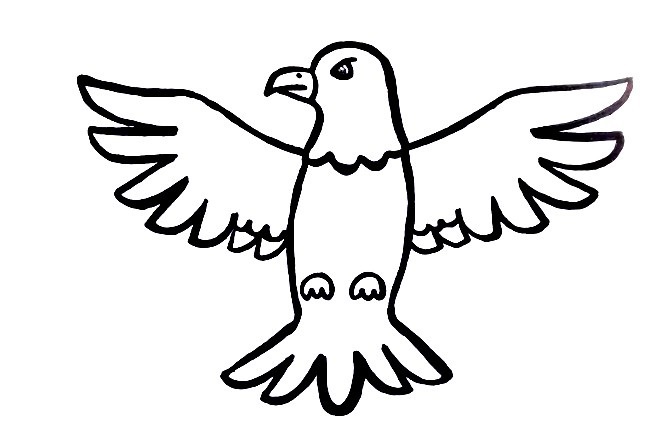 Eagle-Drawing-8