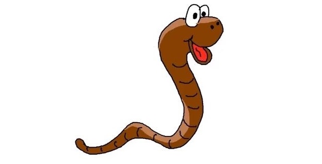 Earthworm-Drawing-7