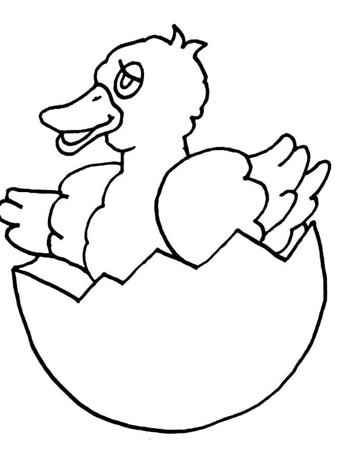 Easter Chicks Drawing Coloring Page