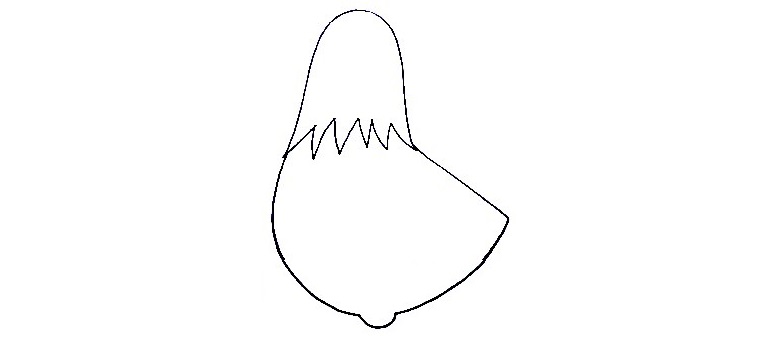 Hen-Drawing-2