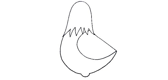 Hen-Drawing-3