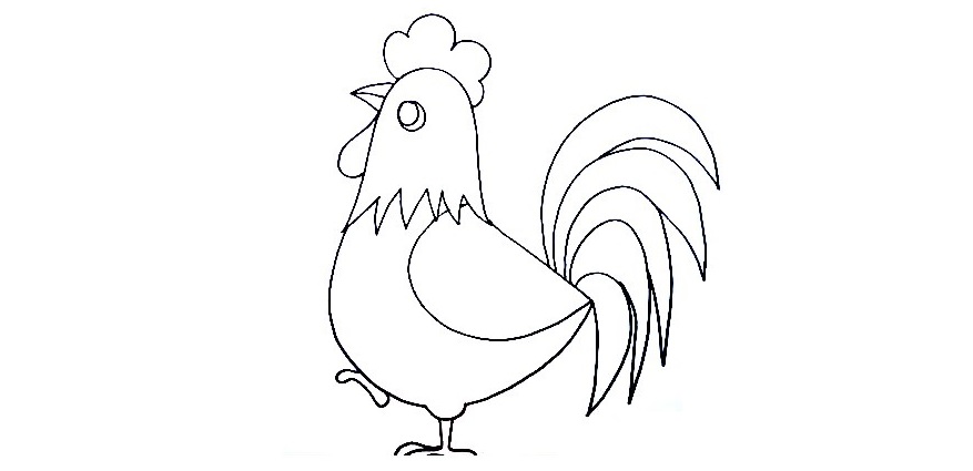 Hen-Drawing-5