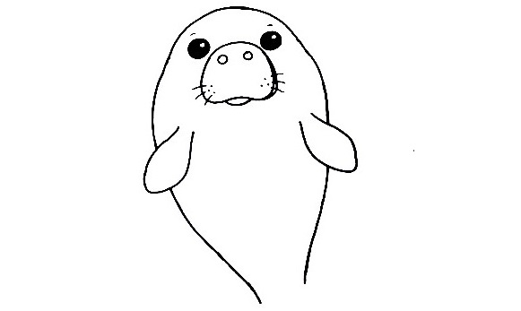 Manatee-Drawing-5