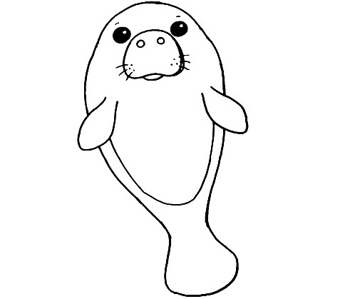 Manatee-Drawing-6