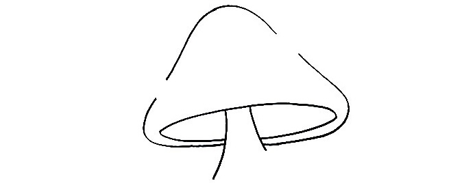 Mushroom-Drawing-3