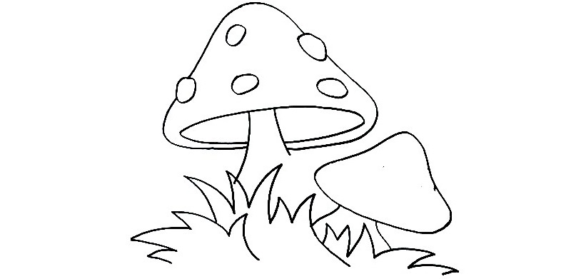 Mushroom-Drawing-6