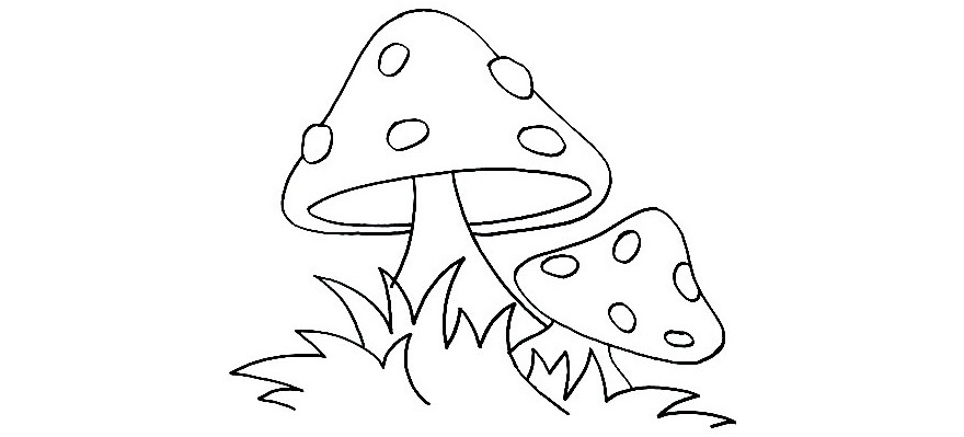Mushroom-Drawing-7