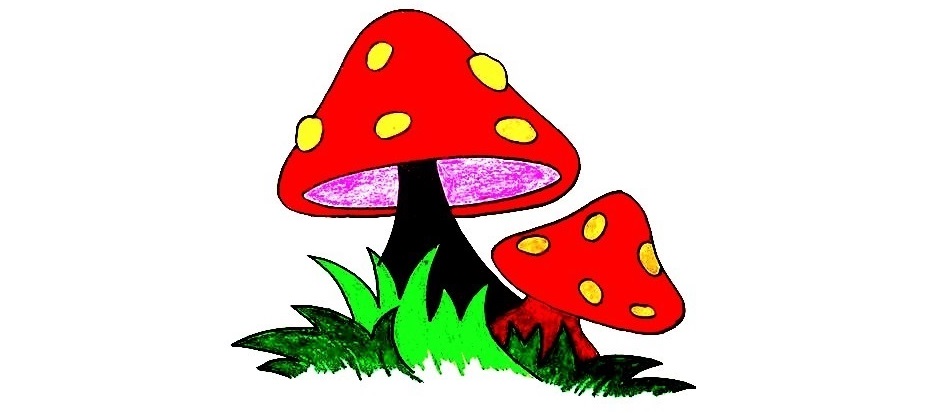 Mushroom-Drawing-8