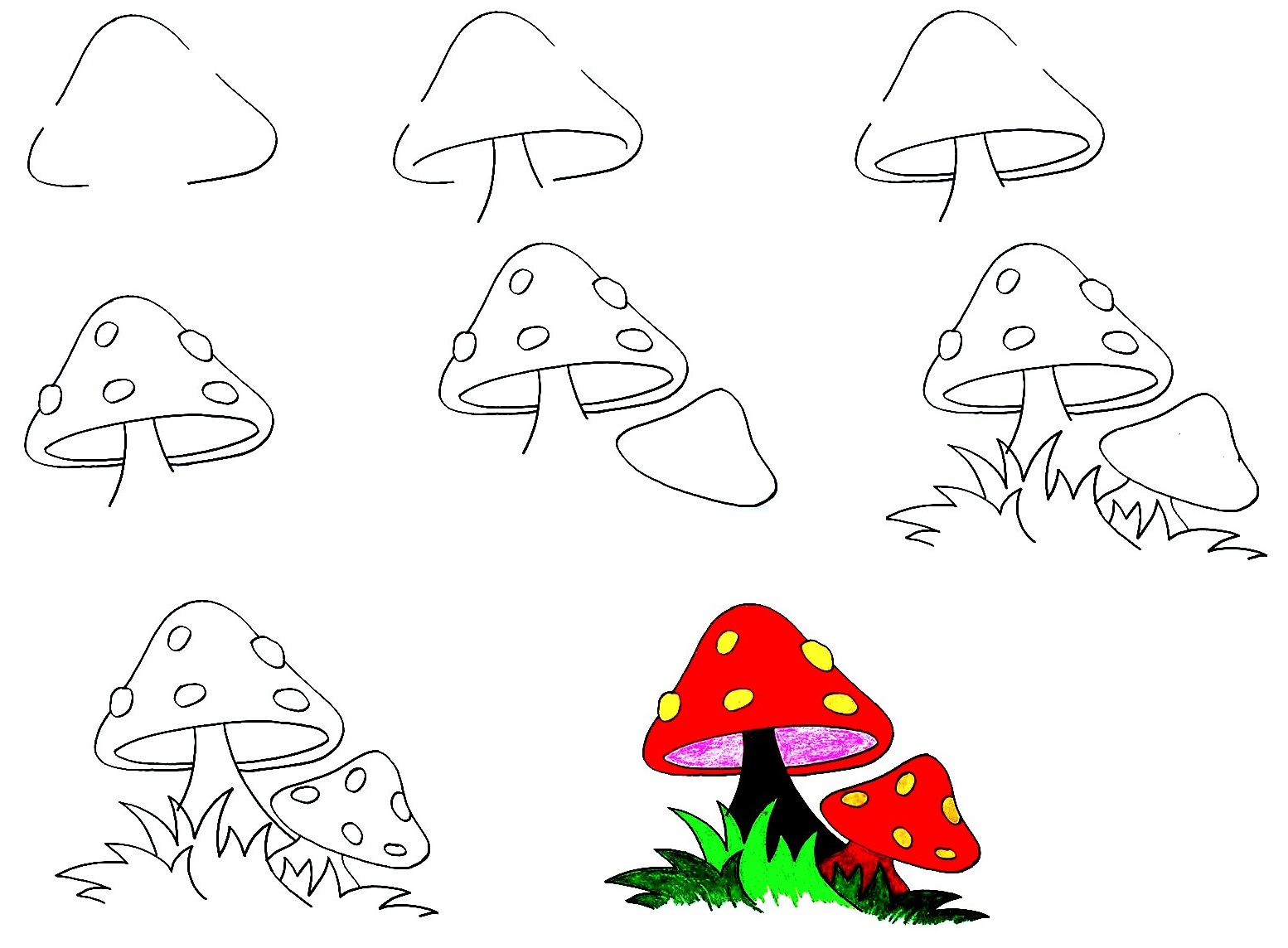 Mushroom-Drawing