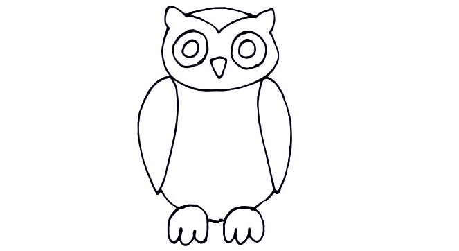 Owl-Drawing-5