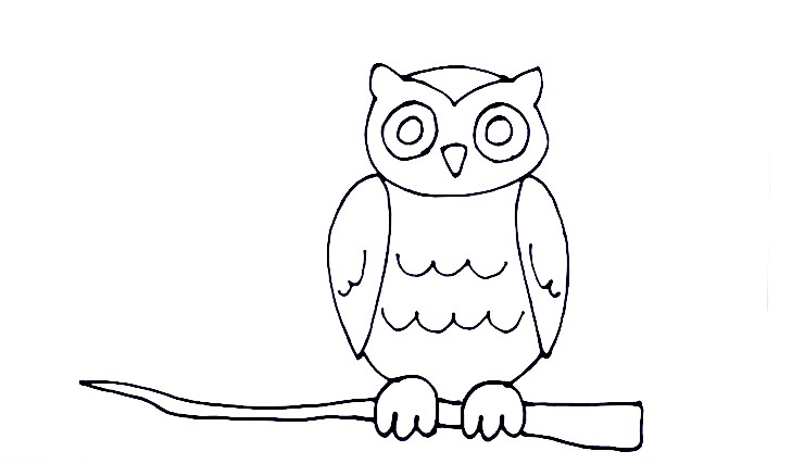 Owl-Drawing-7