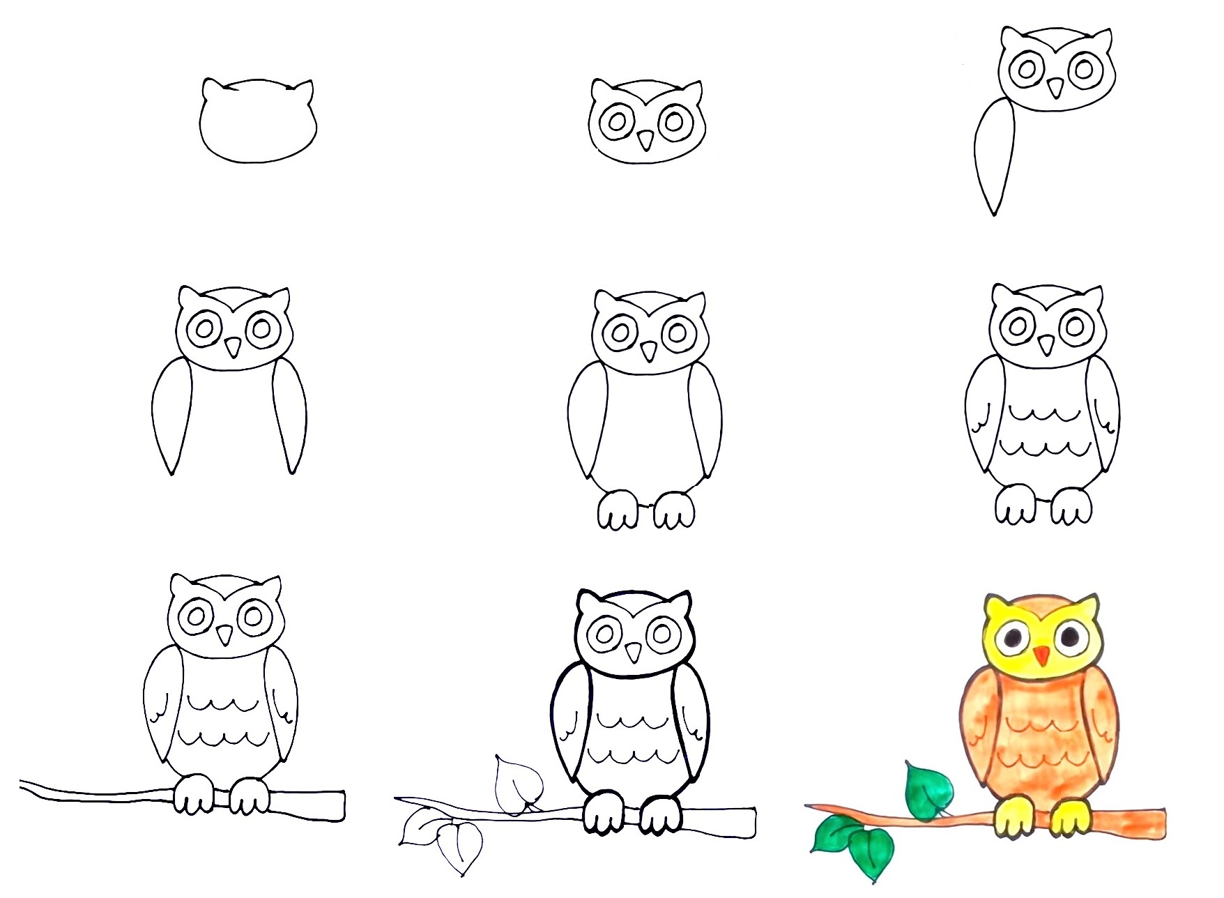 Owl-Drawing