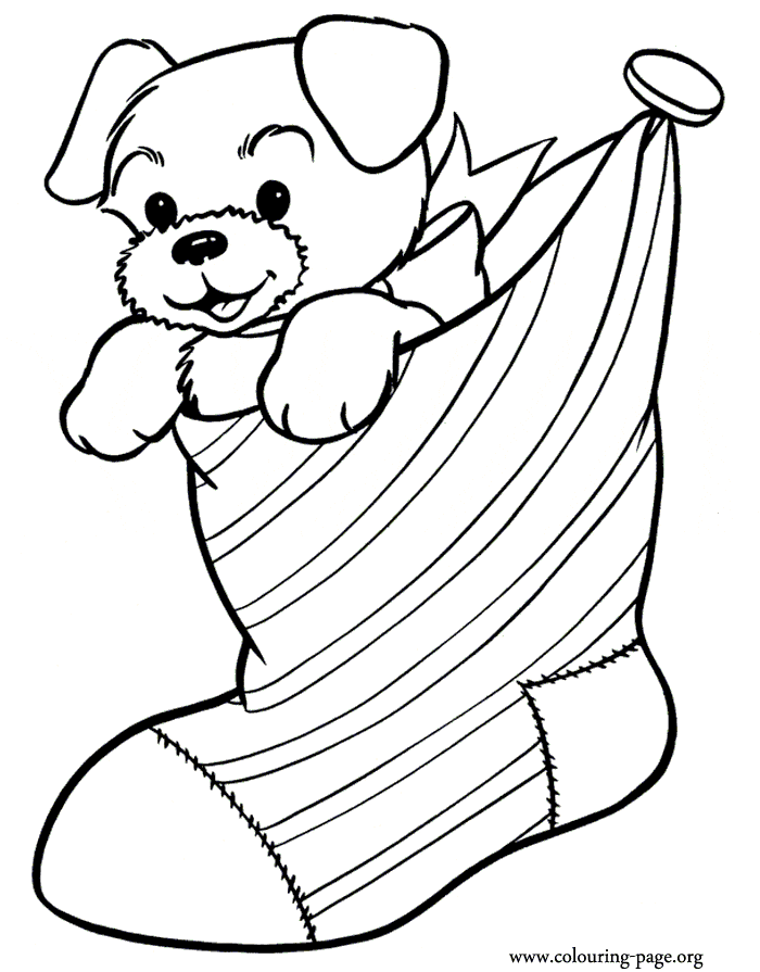 Puppy Inside A Christmas Stocking Image For Kids Coloring Page