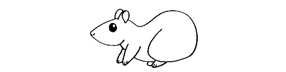 Rat-Drawing-6