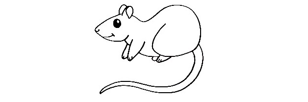 Rat-Drawing-7