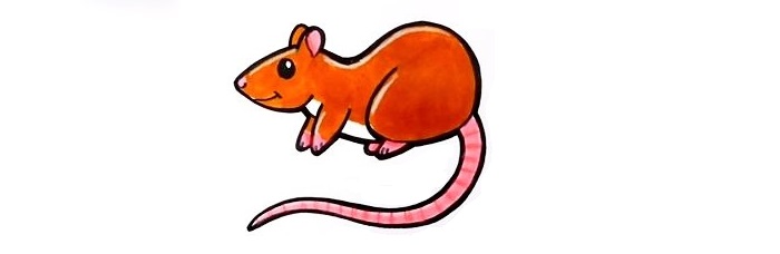 Rat-Drawing-8