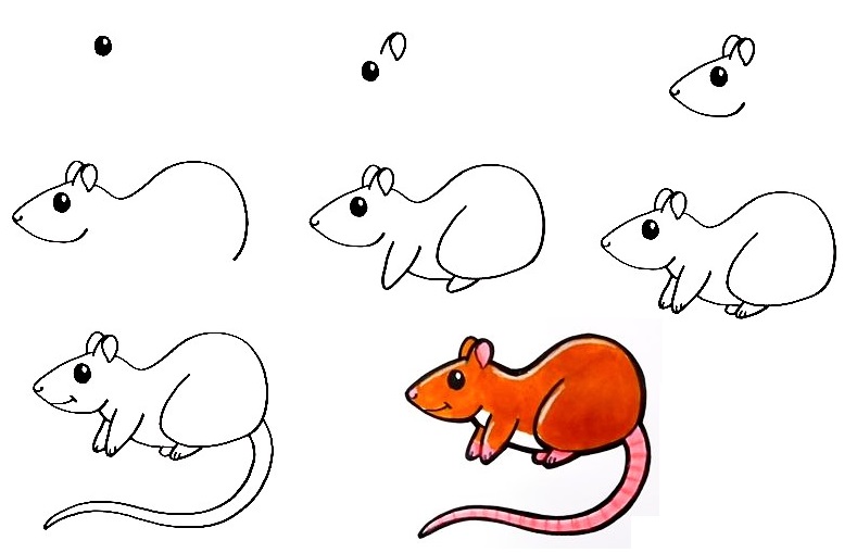 Rat-Drawing