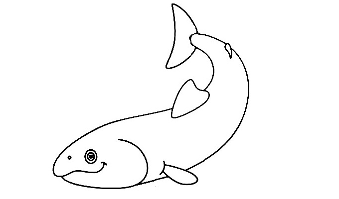 Salmon-Drawing-5