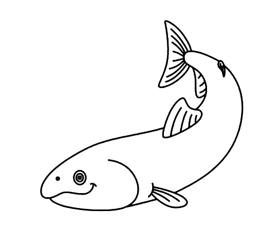 Salmon-Drawing-6