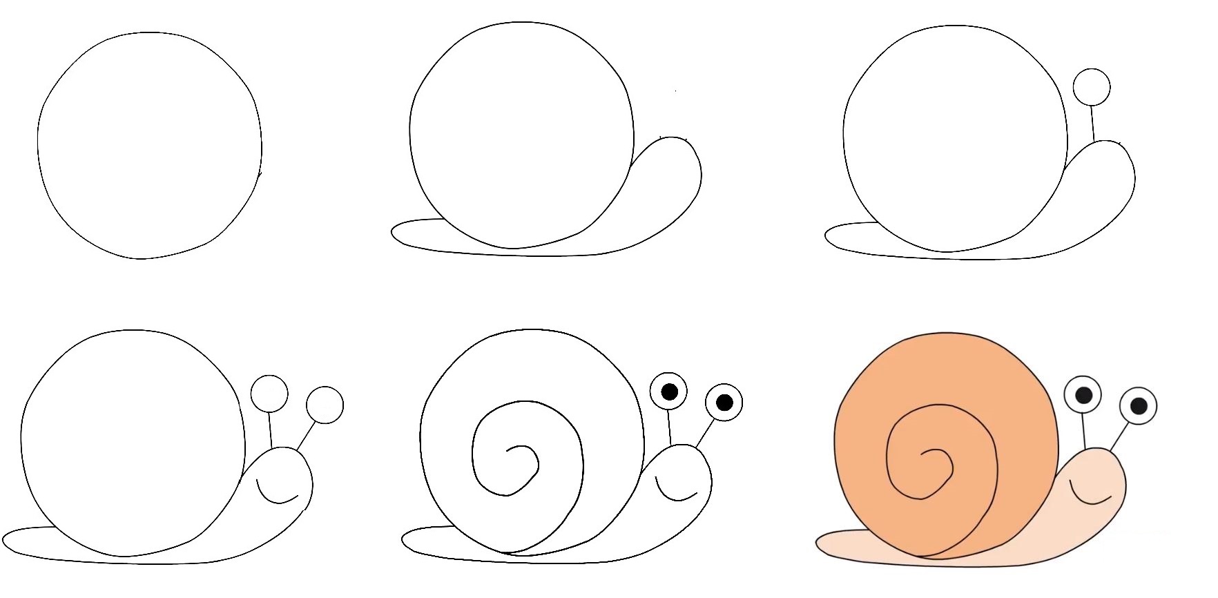 Snail-Drawing