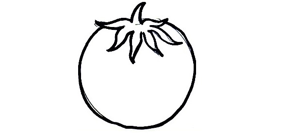 Tomato-Drawing-5